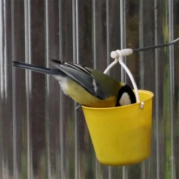 Vorschaubild 7