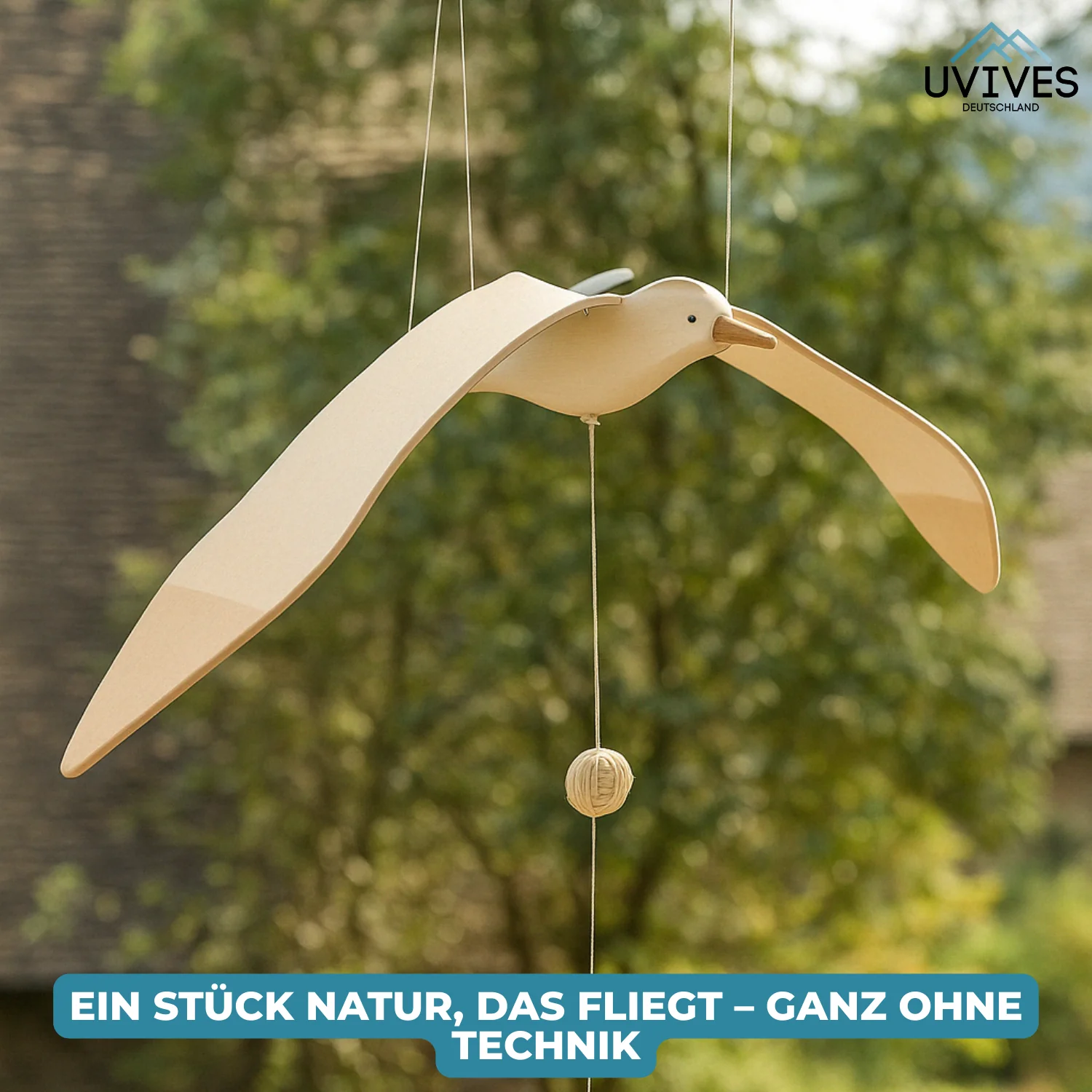 Vorschaubild 5