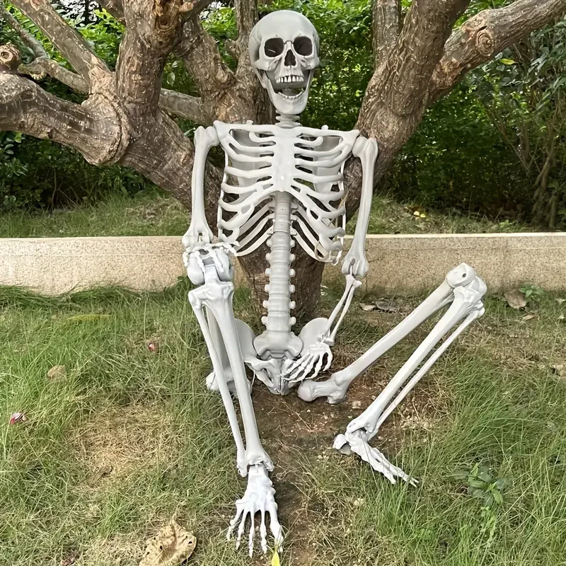 Vorschaubild 5