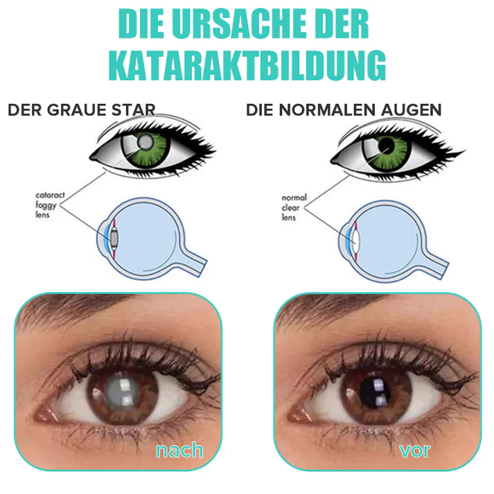 Vorschaubild 11
