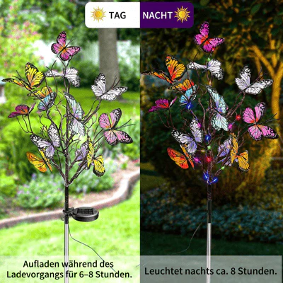 Vorschaubild 3