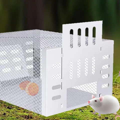 Vorschaubild 3