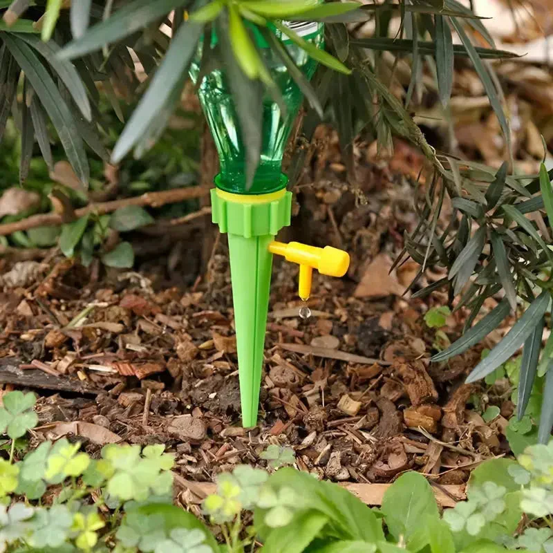 Vorschaubild 7