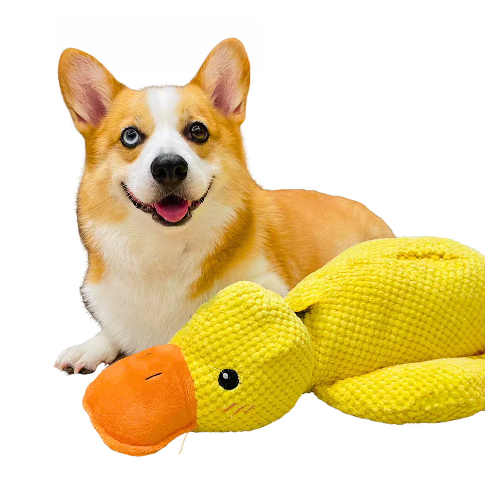 Vorschaubild 5
