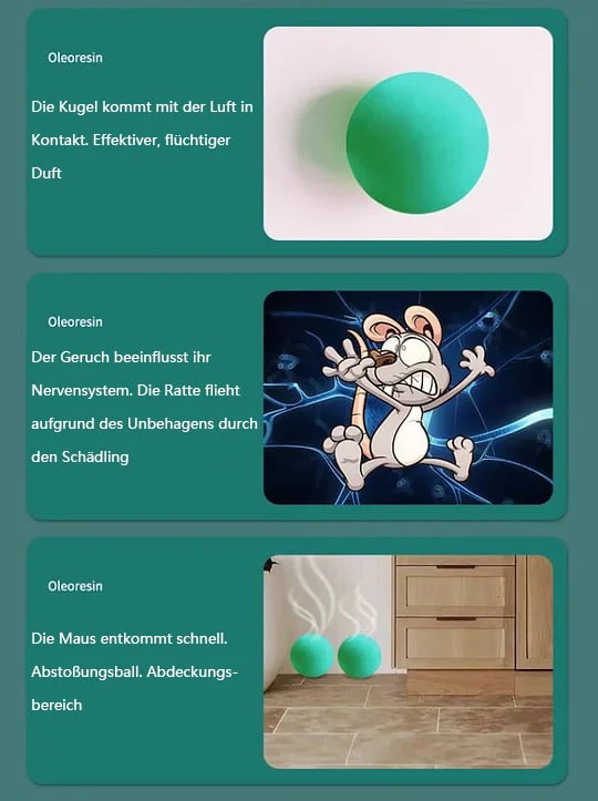 Vorschaubild 10