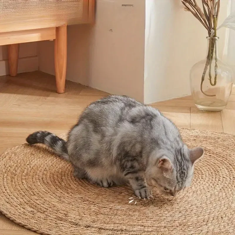 Vorschaubild 4