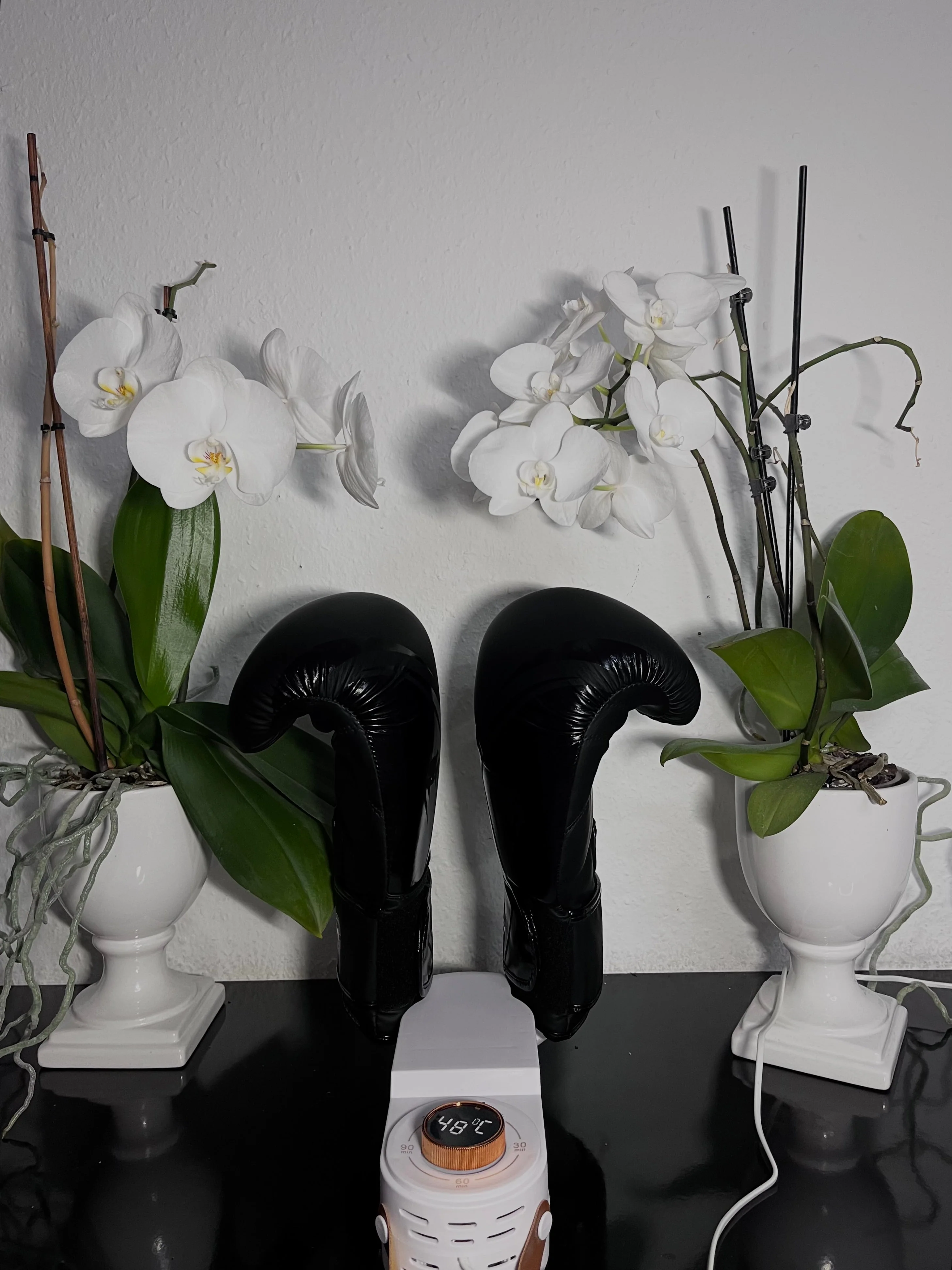 Vorschaubild 9