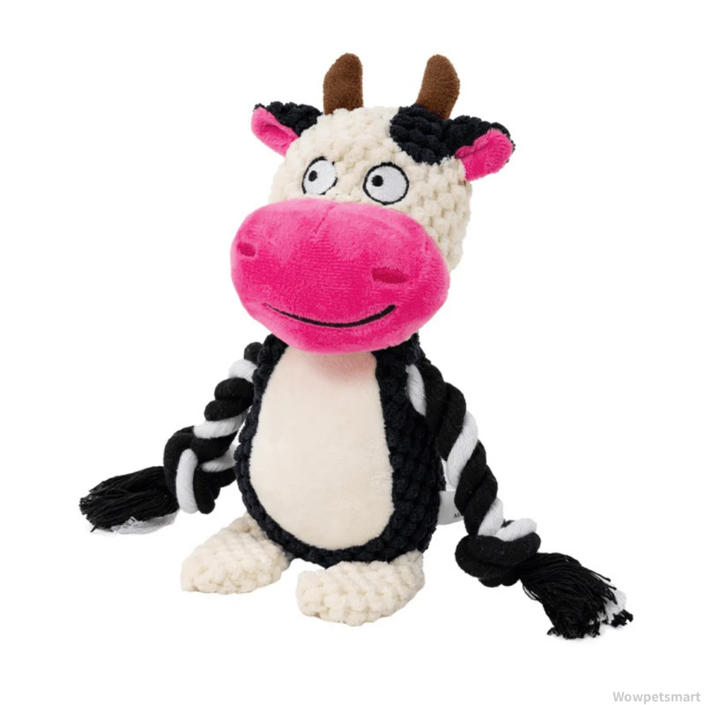 Vorschaubild 10