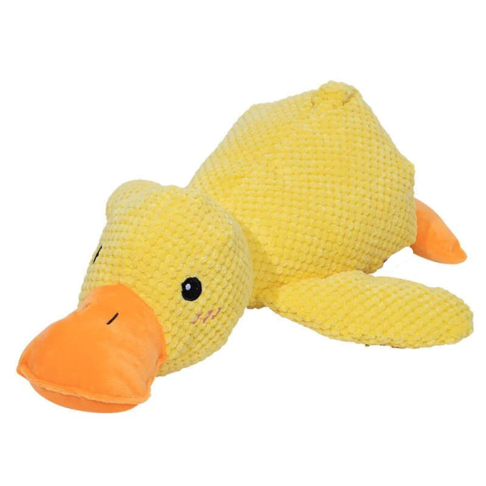 Vorschaubild 21