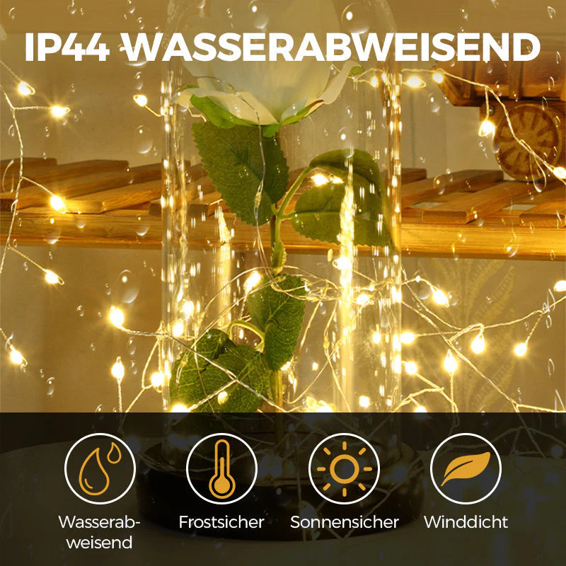 Vorschaubild 8